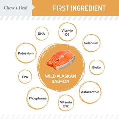 Texture tendre des friandises saumon Alaska Chew + Heal Labs