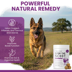 Stop le Scoot de Chew Heal Labs — friandises moelleuses saveur poulet appréciées par les chiens.