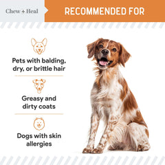 Chew + Heal mini gélules molles — pelage sain et peau douce