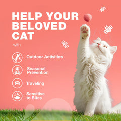 Chat dégustant les friables Chewia au saumon, prévention simple et agréable.