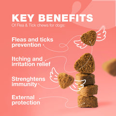CHEWIA formulation-veto: formulation vétérinaire pour une protection fiable et douce