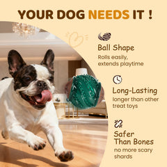 ChienPlay améliore la mastication et soutient potentiellement l'hygiène dentaire du chien.