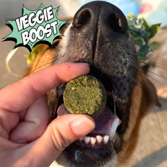 Chipin biscuit hypoallergenique-digestion, adapté pour chiens sensibles sans protéines animales.