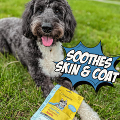 Friandise Chippin poisson séché sans céréales, option hypoallergénique pour chiens sensibles.