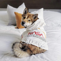 Imperméable blanc pour chat ChoChoCho NASA, confort et protection.