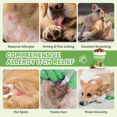 Ingrédients Colostrum et saumon pour le soutien nutritionnel des chiens.