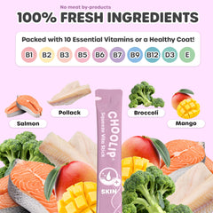 Choolip Squeeze Vita Stick texture purée saumon-pollack, goût riche