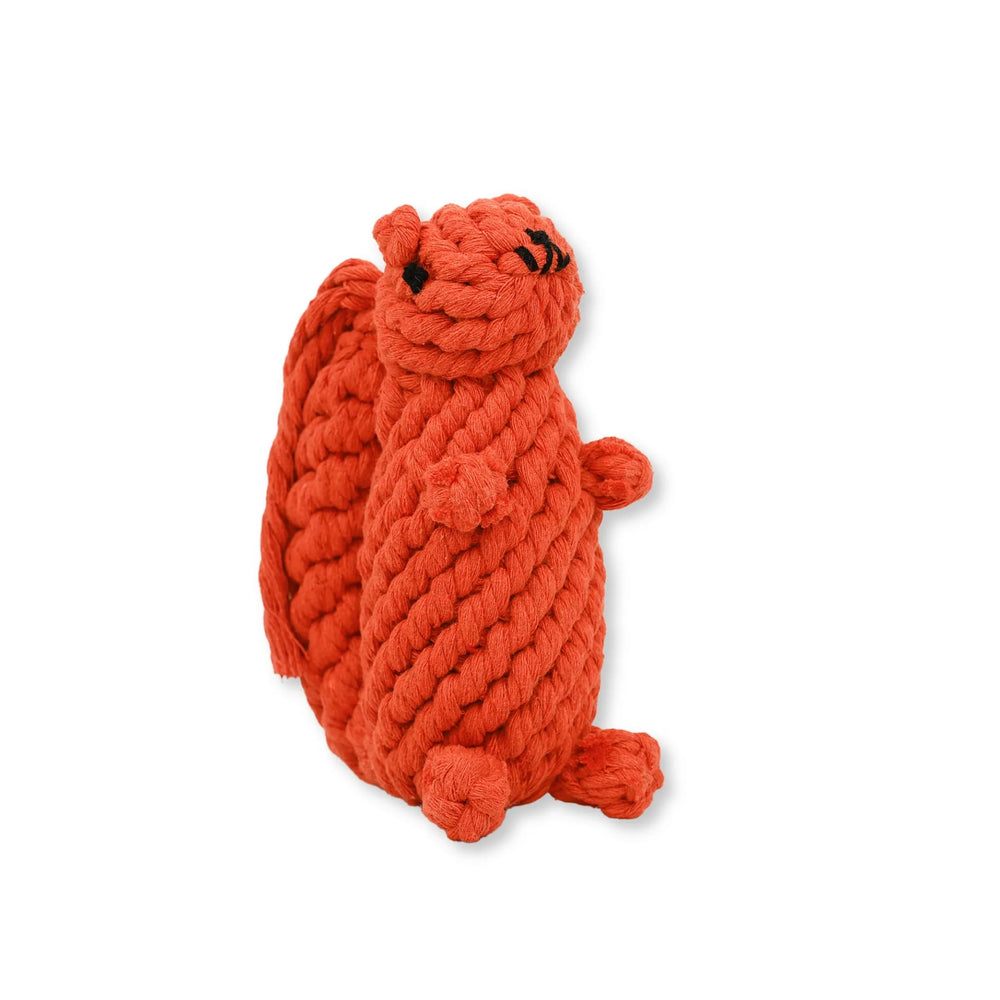 Bucky, jouet écureuil Chowabunga en coton écologique; parfait pour jeux interactifs durables.