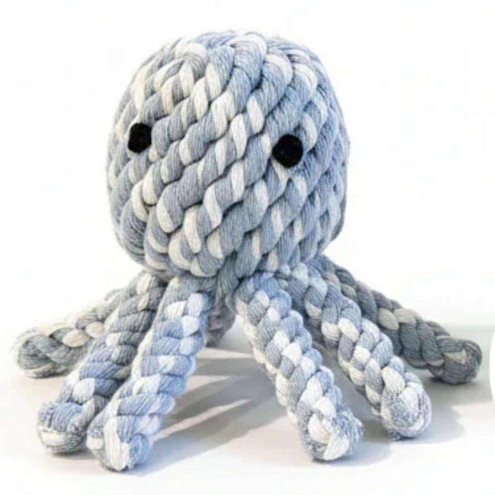 Chowabunga Ollie le poulpe: tentacules bleues pour jeux durables.