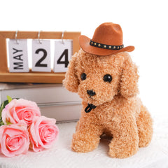 Choyaxo chapeau cowboy marron avec étoile dorée ajoutant du charme.