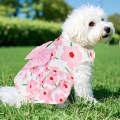Robe rose et florale Choyaxo pour chat, élégante et légère.