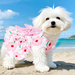 Choyaxo robe chien dentelle rouge, tendance et confortable pour toutes occasions.