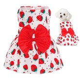 Robe florale pour chien Choyaxo, parfaite pour les promenades estivales.