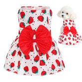 Robe florale choyaxo pour chien, ideale pour promenades ete