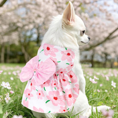 Robe florale choyaxo — gros plan motif fleurs, esprit estival et joyeux.