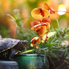 Phalaenopsis artificielle Chuangdi avec ventouse jaune, idéal pour habitat réptile coloré.
