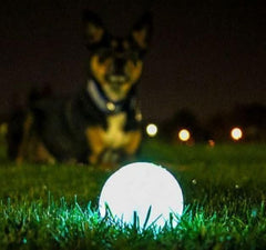 Chuckit! balle lumineuse en action nocturne; favorise les fetch sécurisés après le coucher du soleil.