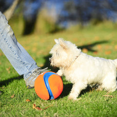 Chuckit! Kick Fetch Ball prise ferme et facile à saisir.