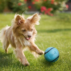 Chuckit! Sniff Ball se nettoie facilement après les sorties.