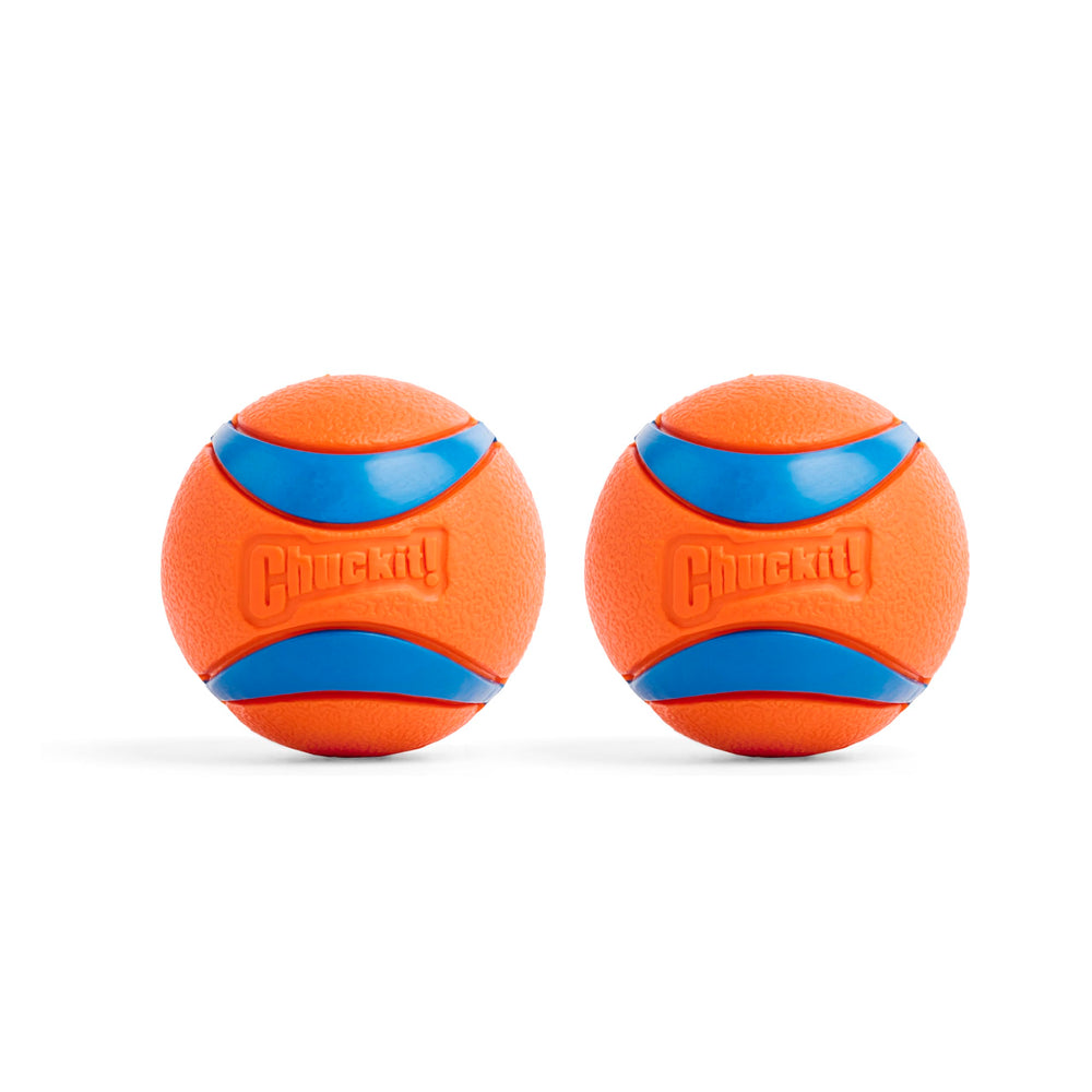 Chuckit Ultra Ball en vol, sessions de fetch dynamiques et sûres.