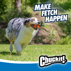 Chuckit Ultra Ball avec chi en plein air, exercice et plaisir.