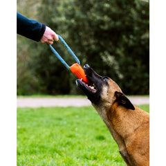 Chuckit! Ultra Bumper Tug design durable, conçu pour durer face aux morsures.