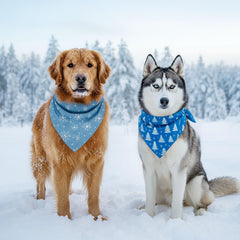 Bandanas d'hiver Chunful pour chats et chiens au motif flocons, doux sur le pelage
