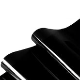 CICK SEED arrière-plan noir pour aquarium, adhésion électrostatique sans colle, sans résidu.