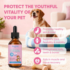 Spray CIVGICY Collagen administré directement dans la bouche du chien.