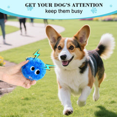 CJZJPV Boule peluche taille adaptée petits et moyens chiens 3-1 pouces bleu.