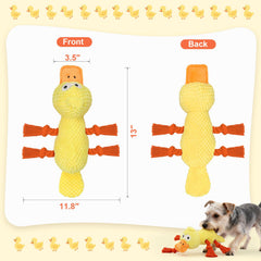 Jouet crissant avec queue Ckin pet, amusement et stimulation auditive