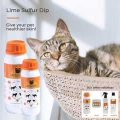 Préparation du mélange avec Classic's Lime Sulfur Dip et eau