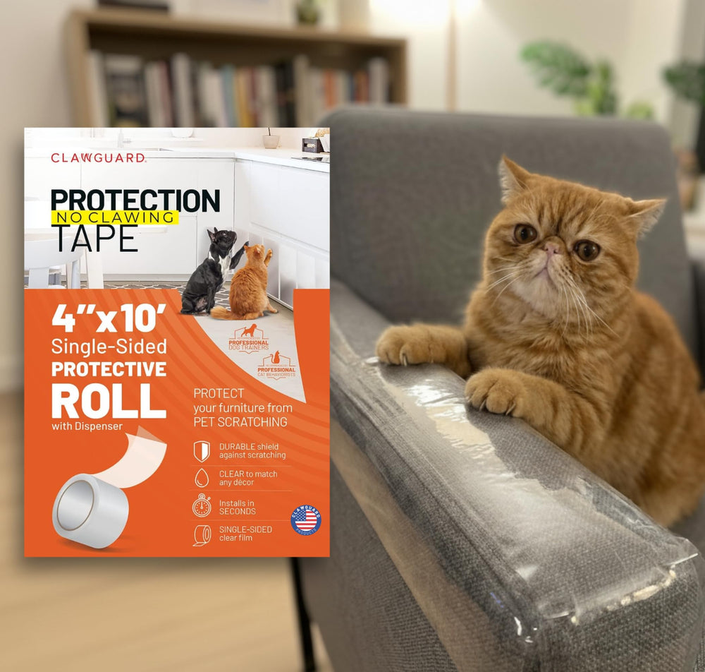 CLAWGUARD bande-protection-porte : protection discrète des portes contre les griffes.