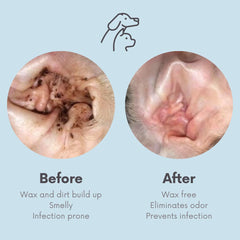Élimination des taches de larmes autour des yeux avec Clean Pet.