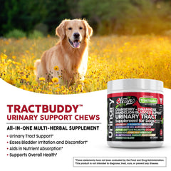 Clean Pets Pissenlit-Prêle-Chien – extrait naturel pour soutien digestif.