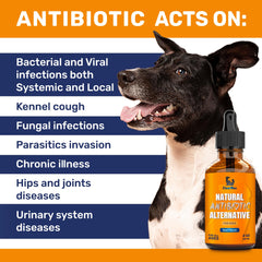Clear Max antibiotiques chien saveur boeuf appréciée par les chiens.