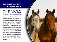 CLENVIA Pâte Cheval 10% – texture pâte facile à administrer