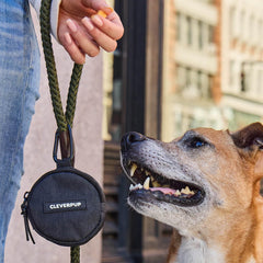 Cleverpup Snackpack: dimensions environ 10 cm de diamètre pour un usage compact.