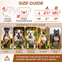 CleverTail museau métallique boxeur, détail cuir-réglage, sangle ajustable pour un ajustement sûr.