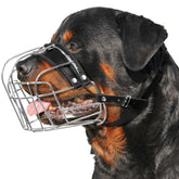 Museau métallique XL CleverTail pour grand chien en action, sécurité lors des promenades.