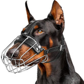 CleverTail muselière en métal pour Doberman grand format, ajustement sûr et durable.