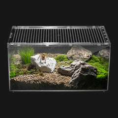 Clioran terrarium PC avec vue panoramique à 360° pour observer reptiles et insectes.
