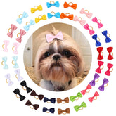 Clipband noeud mini 2 pouces rouge: accessoire adorable pour chien et sorties quotidiennes.