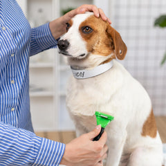 Collier Clysee en papier sans latex, sûr pour peaux sensibles.