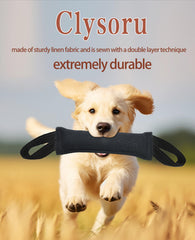 Mode interactif entre le maitre et le chien avec le jouet Clysoru