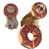 Collier donut gonflable Cneo pour chien, protection et liberté de mouvement.