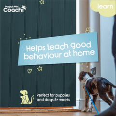 Coachi, démonstration d'utilisation en intérieur, pour diriger le chien vers des activités positives.
