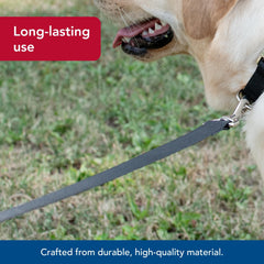 Laisse Coastal Pet confortable et ergonomique pour vous et votre chien noir.