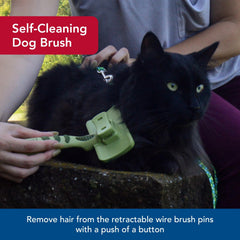 Coastal Pet Safari brosse à aiguilles en acier inoxydable, douceur lors du toilettage