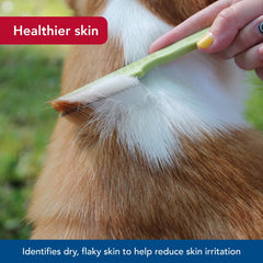 Brosse Coastal Pet Safari – soin du pelage et réduction des irritations cutanées.